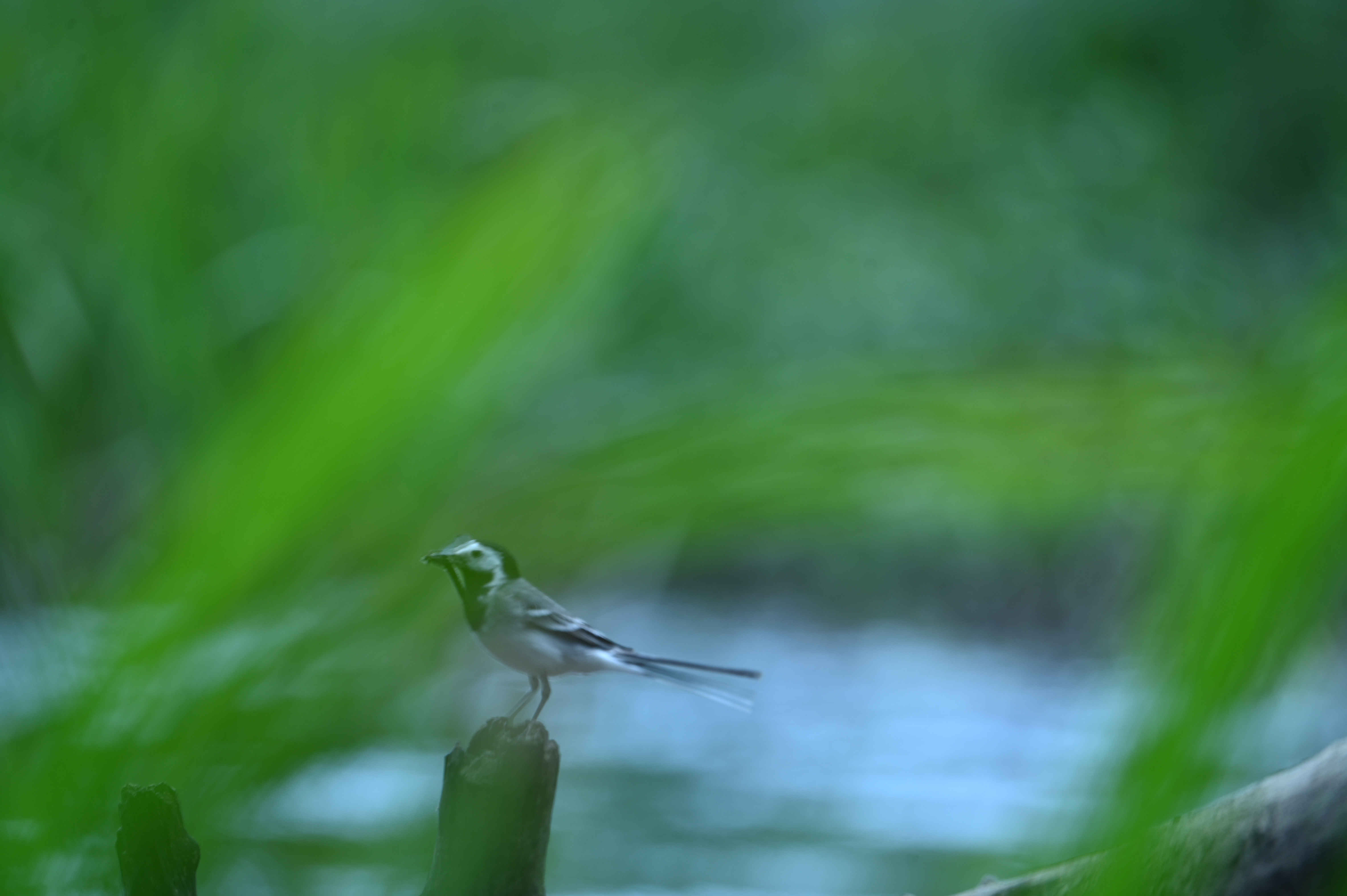 2025/07/09-14 - trip/DSC_0427.JPG